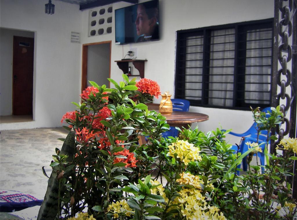 Hostal Palohe Taganga Ngoại thất bức ảnh
